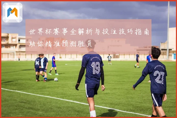 世界杯赛事全解析与投注技巧指南助你精准预测胜负