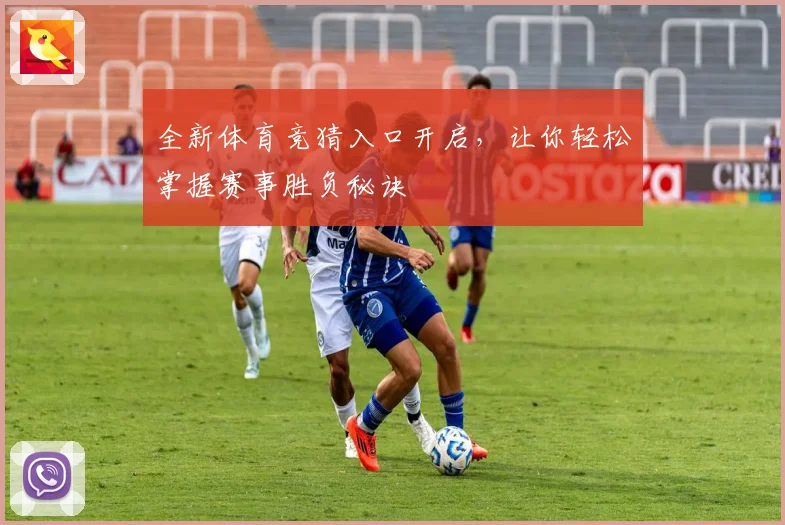 全新体育竞猜入口开启，让你轻松掌握赛事胜负秘诀